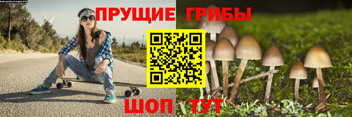 Псилоцибиновые грибы прущие грибы Новоуральск
