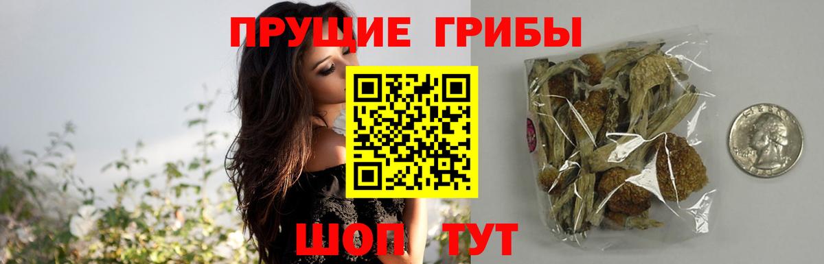 Галлюциногенные грибы ЛСД  Галлюциногенные грибы Magic Shrooms  Новоуральск  Вход с VPN 